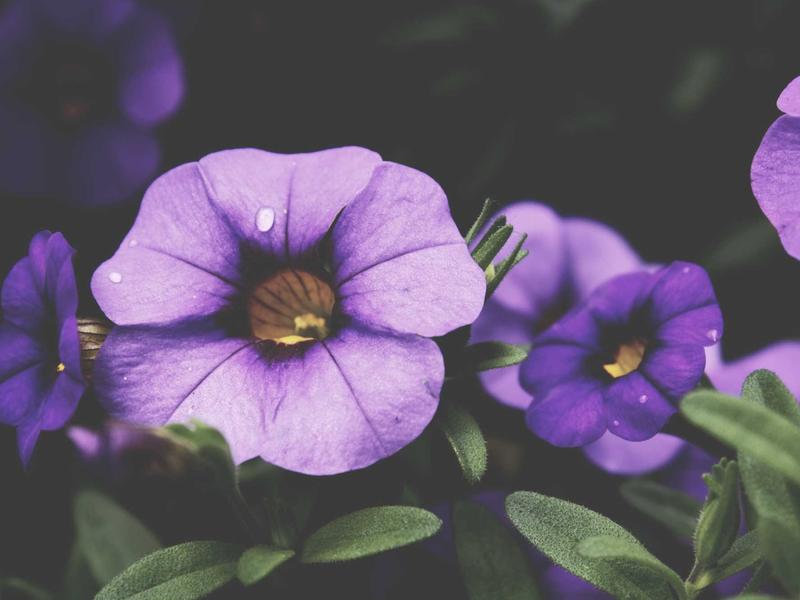 sudoku cognitive benefits screenshot 5