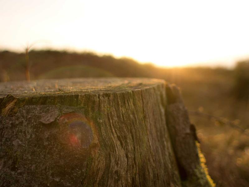 sudoku cognitive benefits screenshot 2